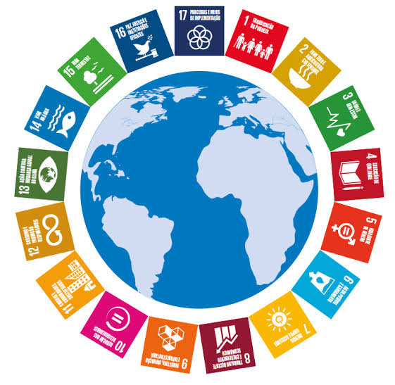 “The Role of Brazilian Universities in Advancing Education for Sustainable Development”