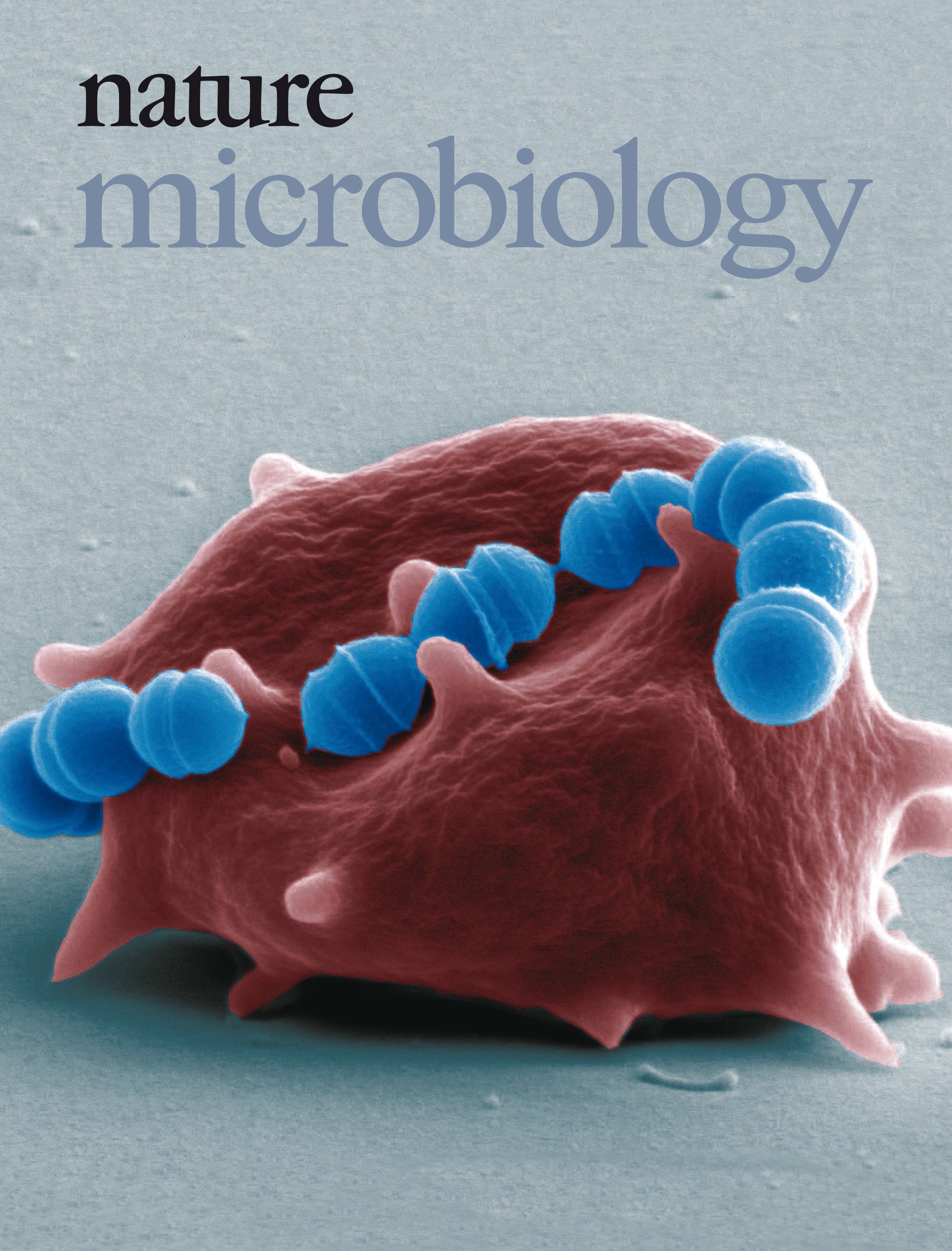 Feb 2016 cover image