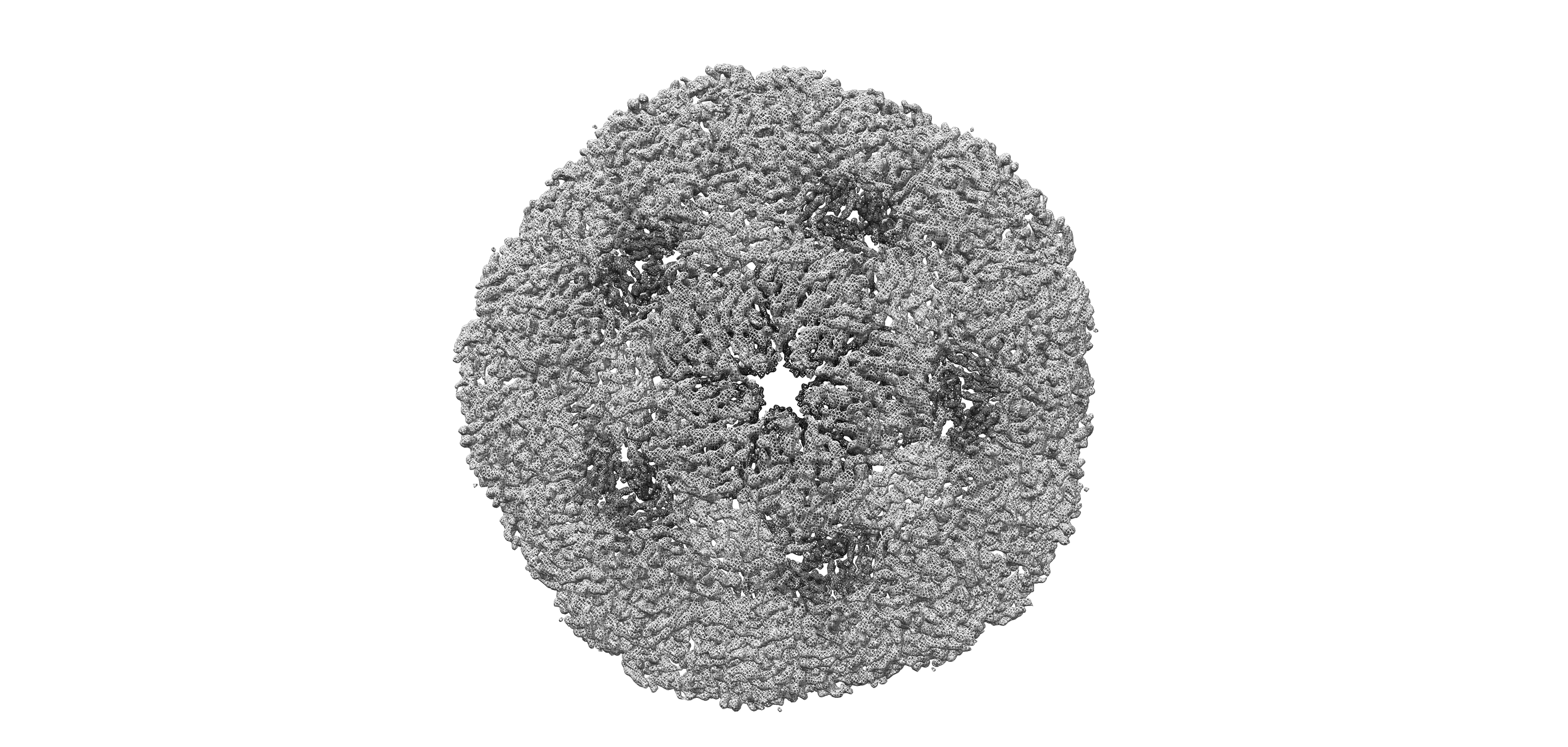 Rapid prototyping and validation of SARS-CoV-2 clinical diagnostic workflows
