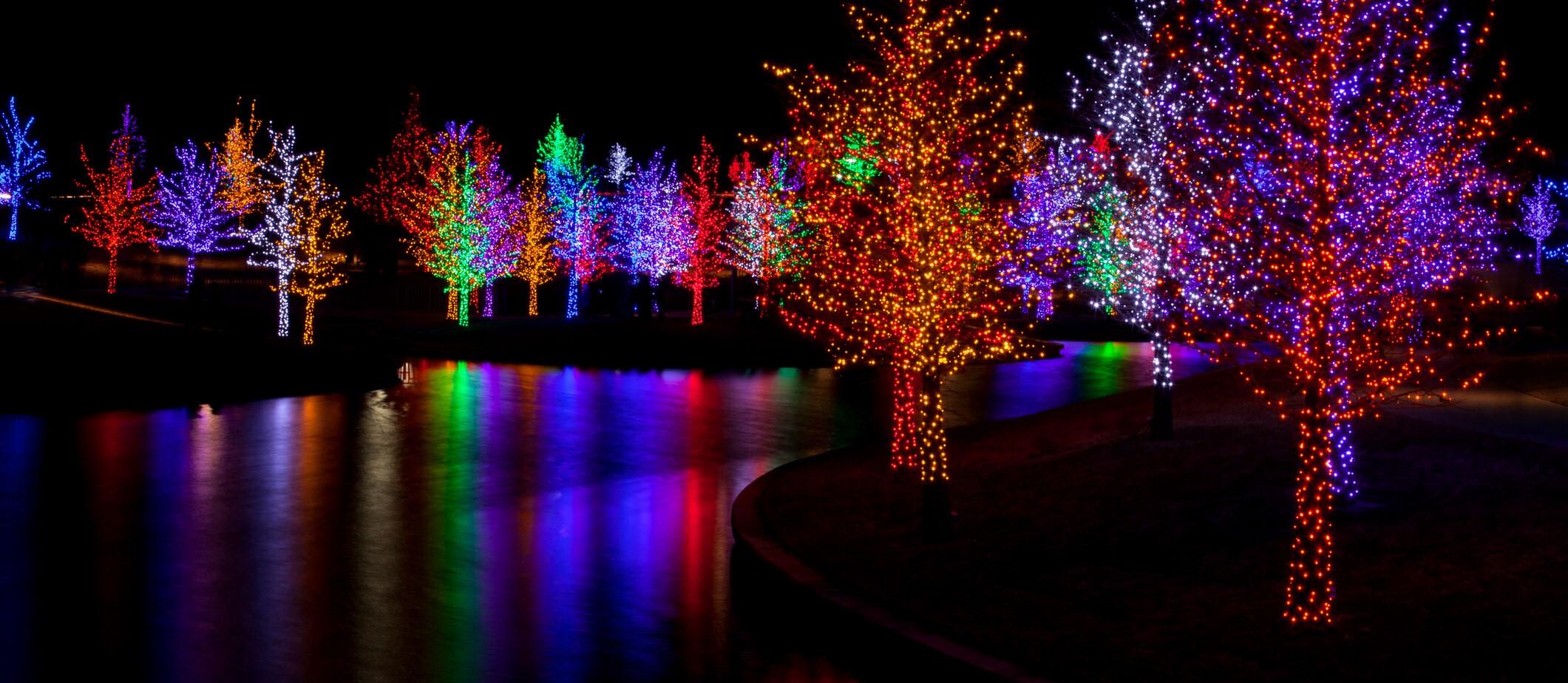 Best Holiday Light Shows in the US 2024