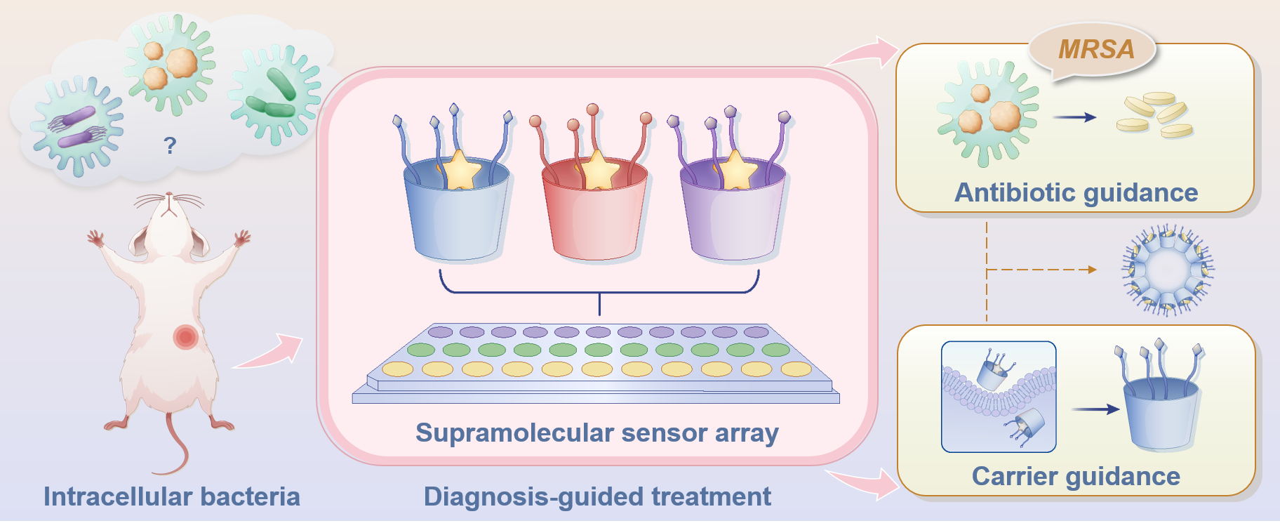 Tackling the Invisible Threat of Intracellular Bacteria