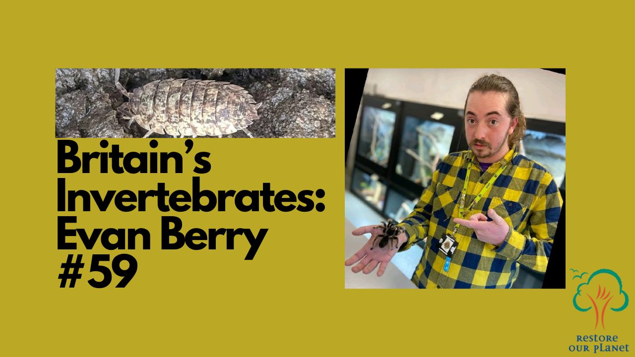 Restore Our Planet Podcast #59 Britain's Invertebrates: Evan Berry.