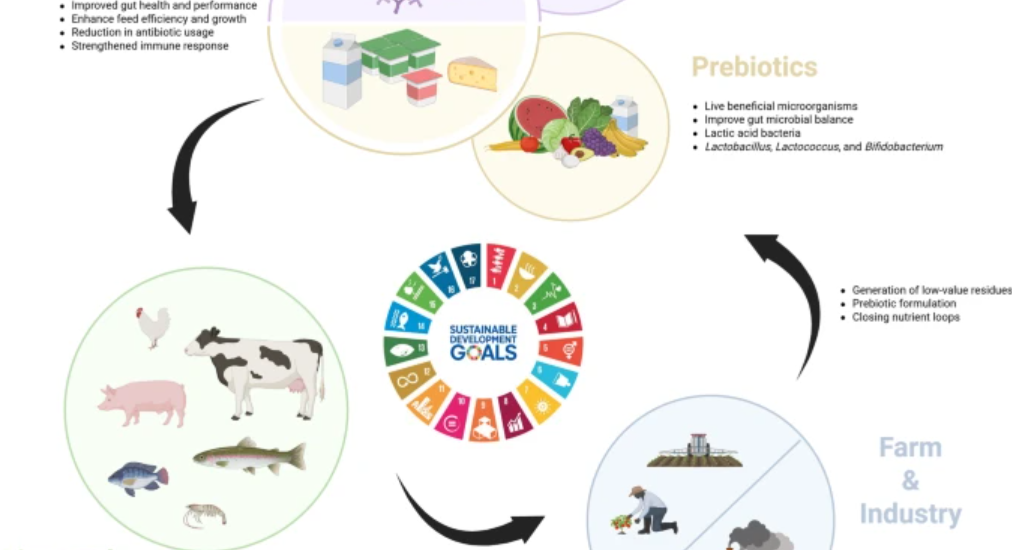 The animal microbiome as a partner in sustainable food production