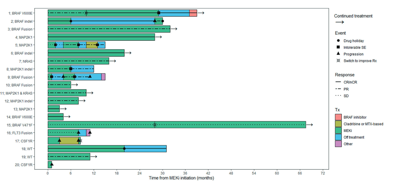 Efficacy of MEK inhibitors in Erdheim-Chester disease: impact of MAPK pathway pathogenic variants