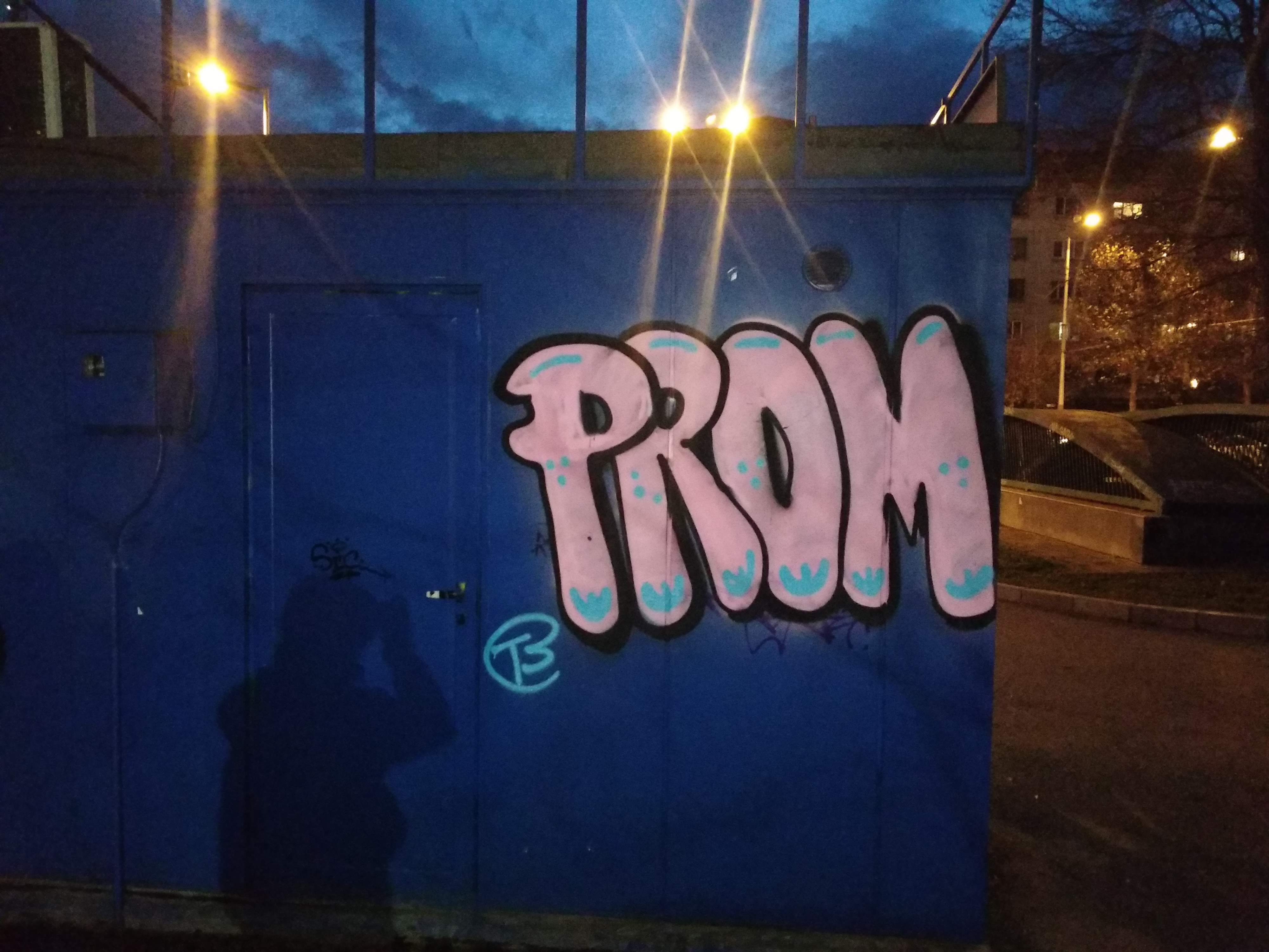 Contemporary Graffiti as a Tool for Studying Prehistoric Art - a Few Examples