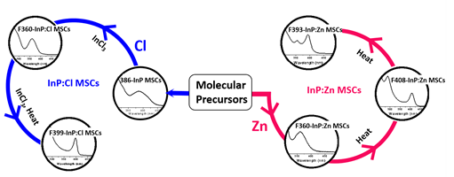 Conversion Chemistry of Indium Phosphide Magic Sized Clusters
