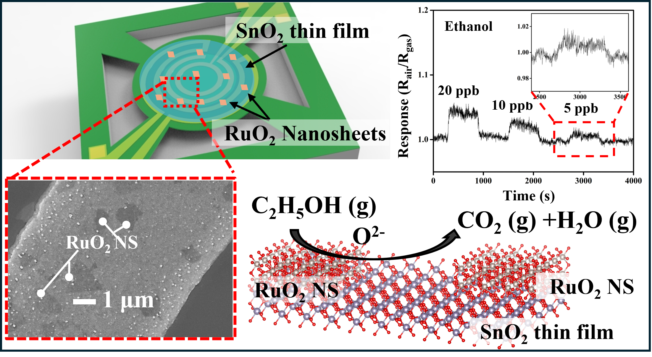 Ultra-sensitive ethanol detection using a chemiresistive SnO2 thin-film gas sensor functionalized with RuO2 nanosheets