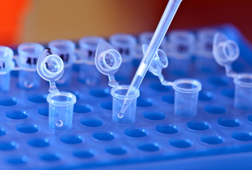 In their own words - Scientists speak about Life in Science