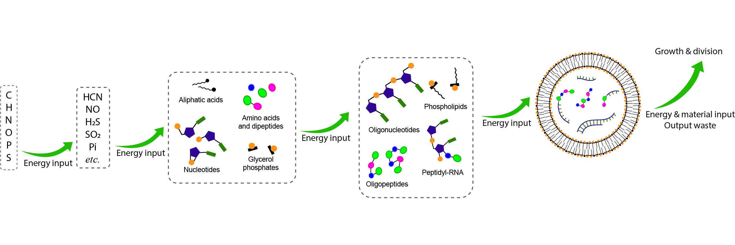 From prebiotic activation chemistry to mixed anhydrides to genetic coding...?