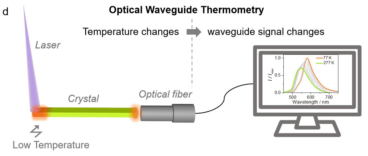 Fluorescence-based thermal sensing with elastic organic crystals