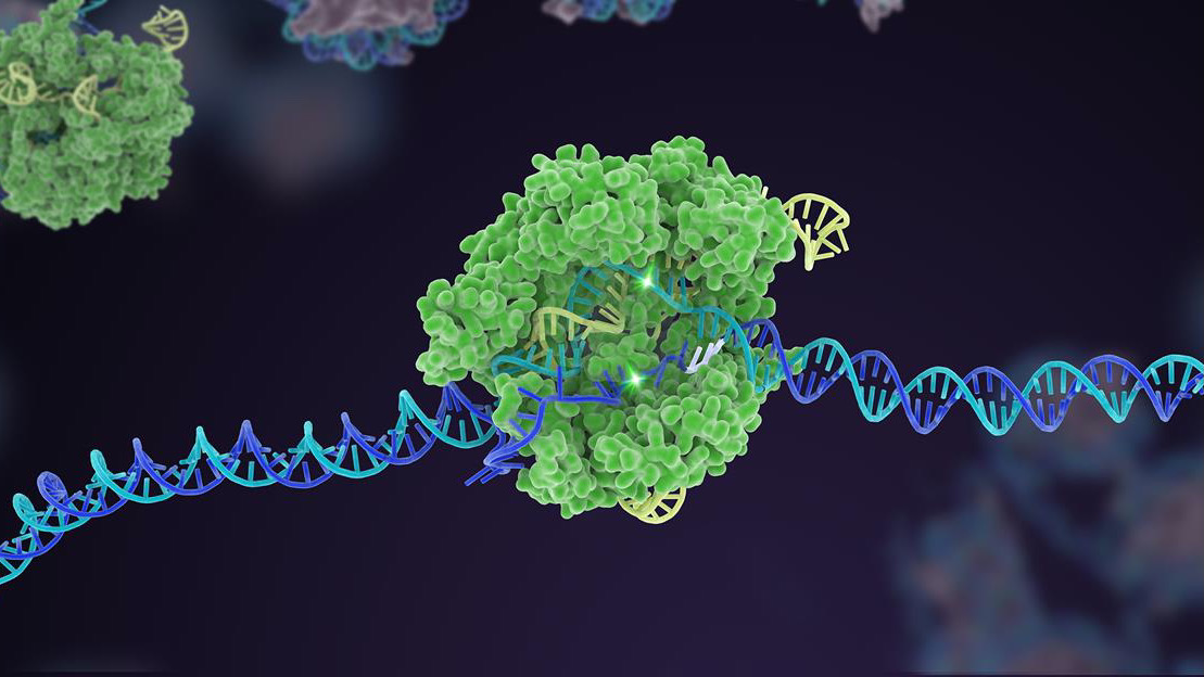 Biomaterials for gene editing – facilitating CRISPR from the lab to the clinic