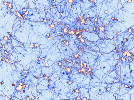 npj Science of Learning celebrates its first birthday