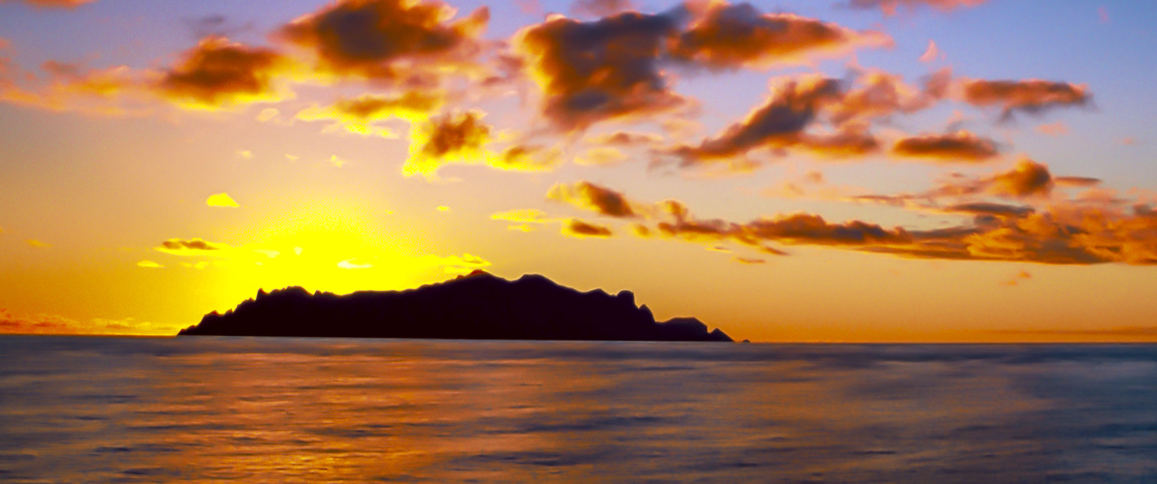 Island biogeography of marine organisms