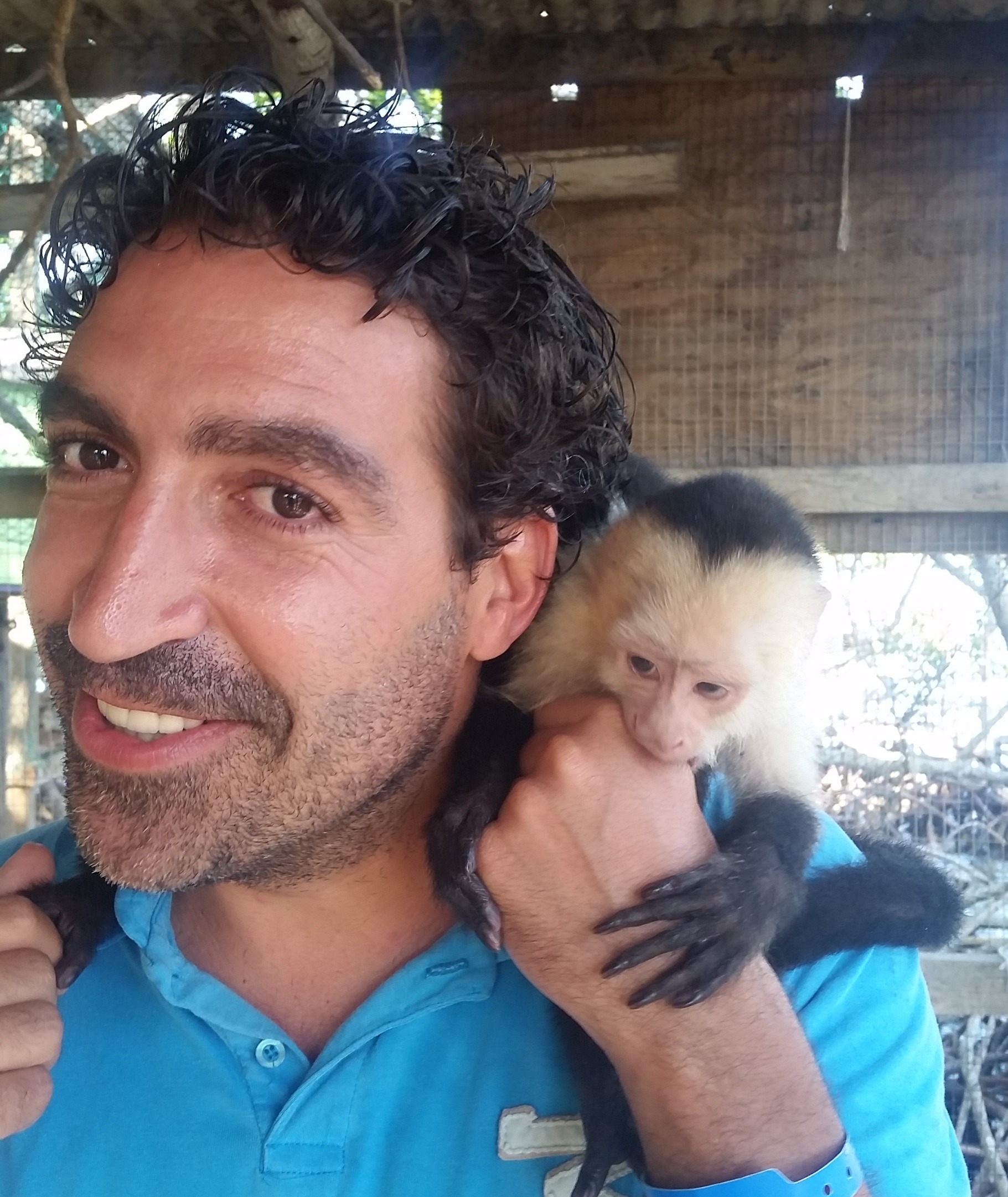 Go to the profile of Rui Diogo