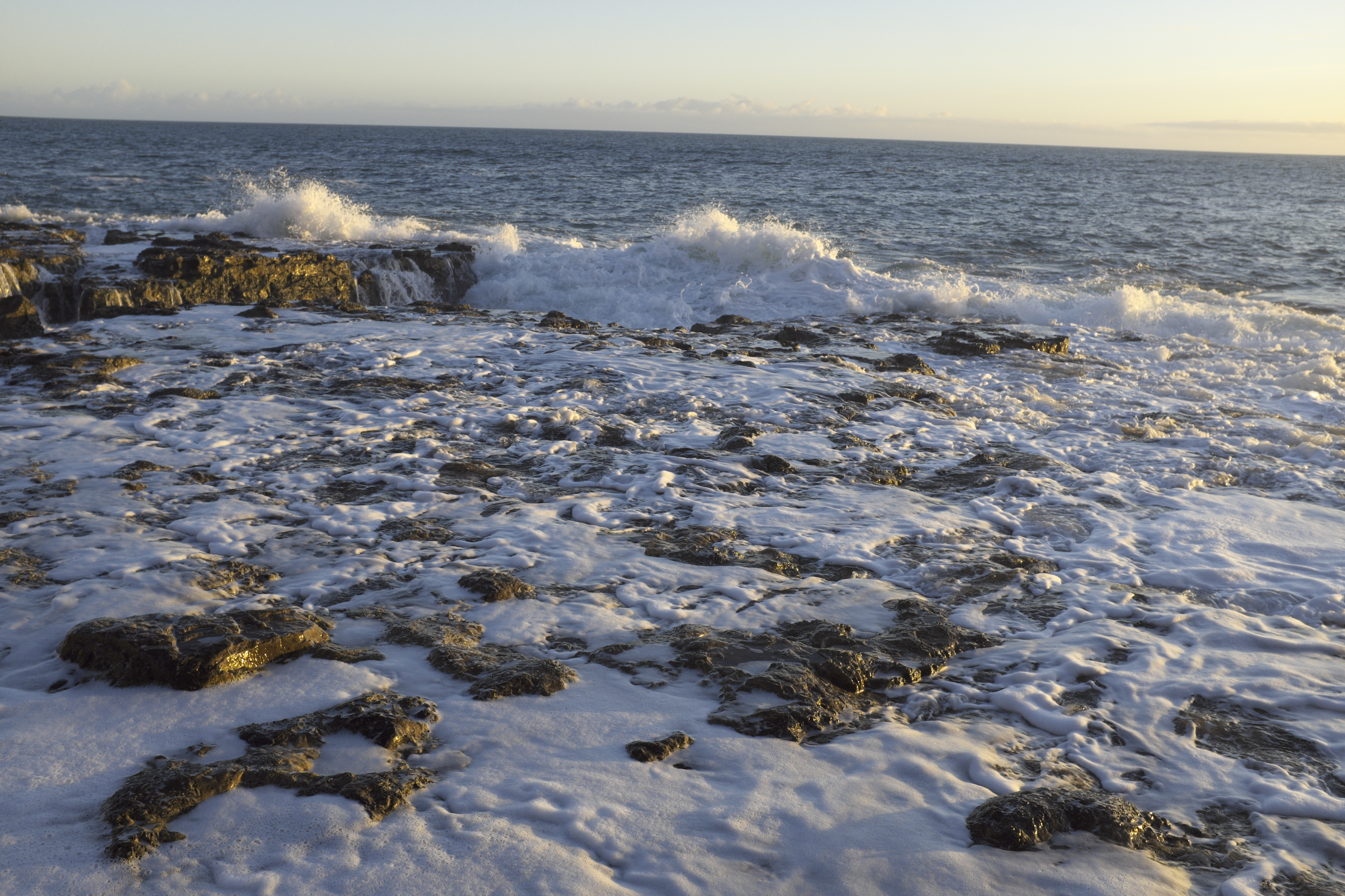 Marine Protected Areas: Podcasts from the Marine Biological Association