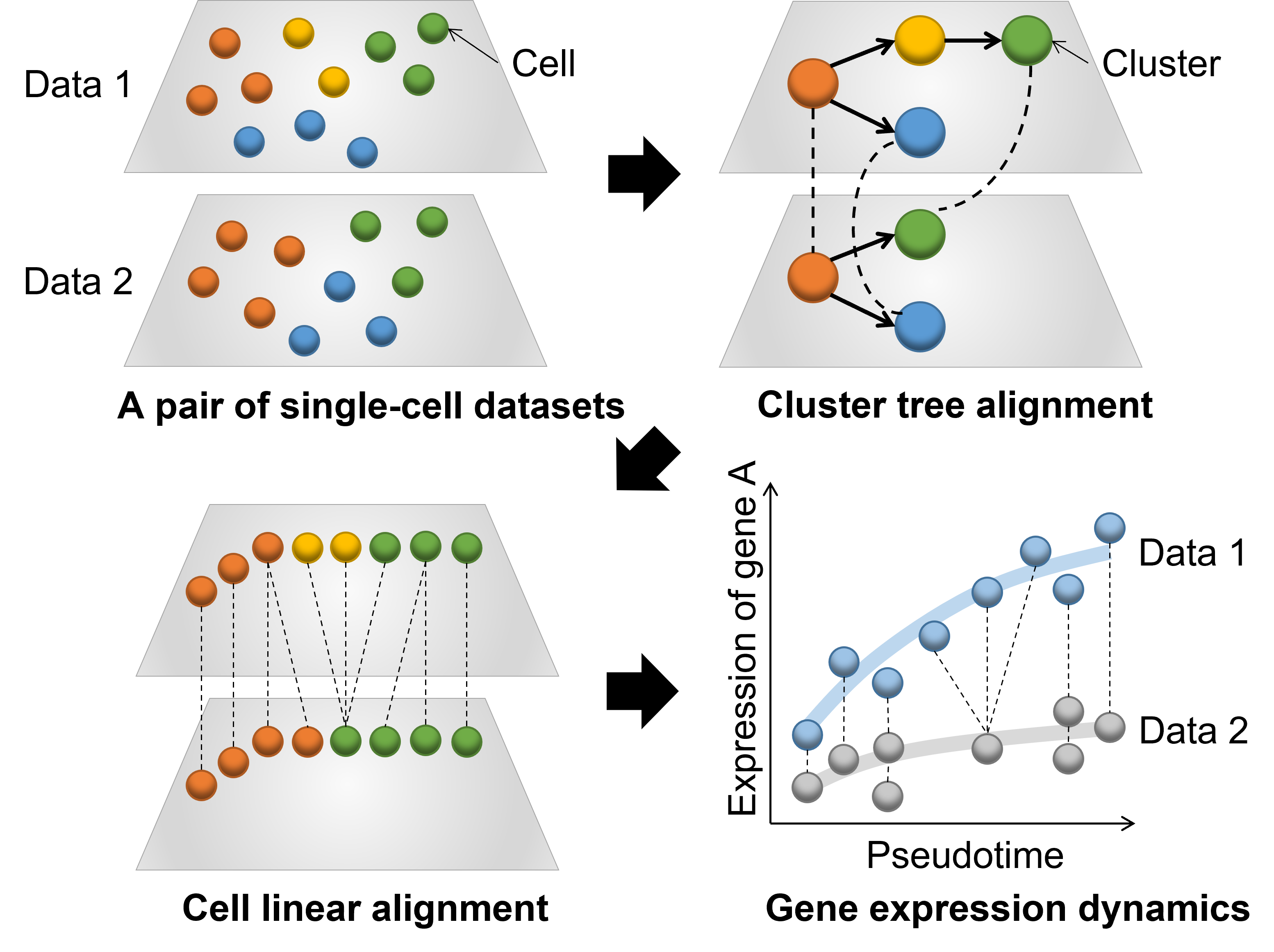 CAPITAL: a major advance in single-cell RNA data analysis