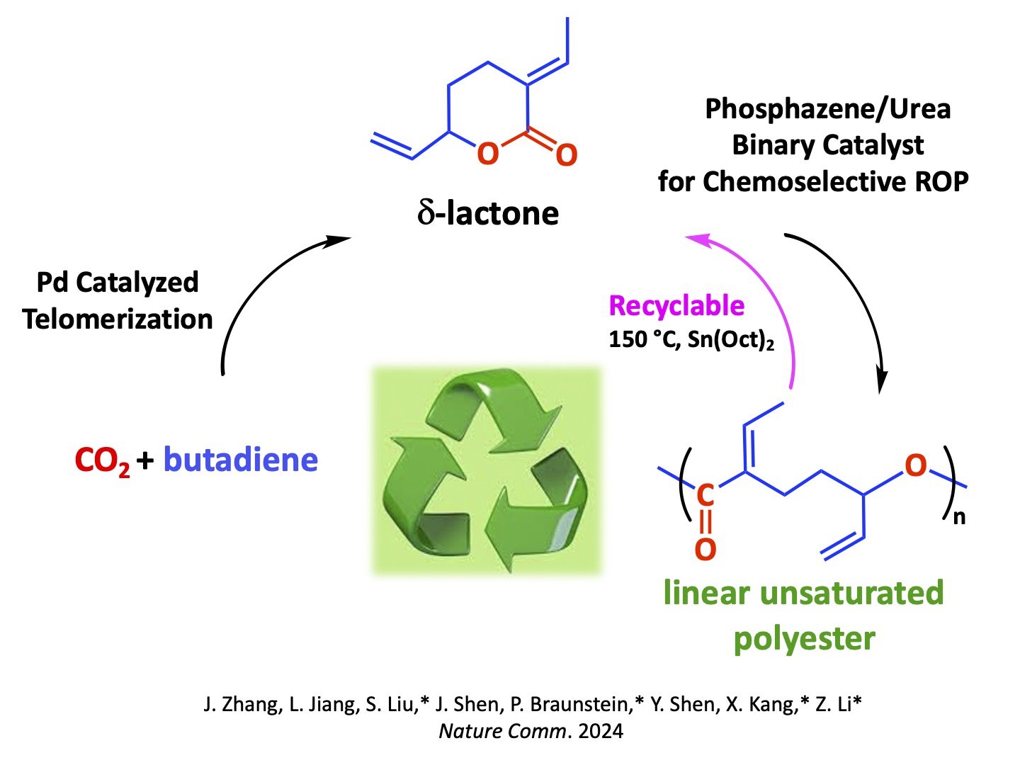Bifunctional and Recyclable Polyesters by Chemoselective Ring-Opening Polymerization of a δ-Lactone Derived from CO2 and Butadiene