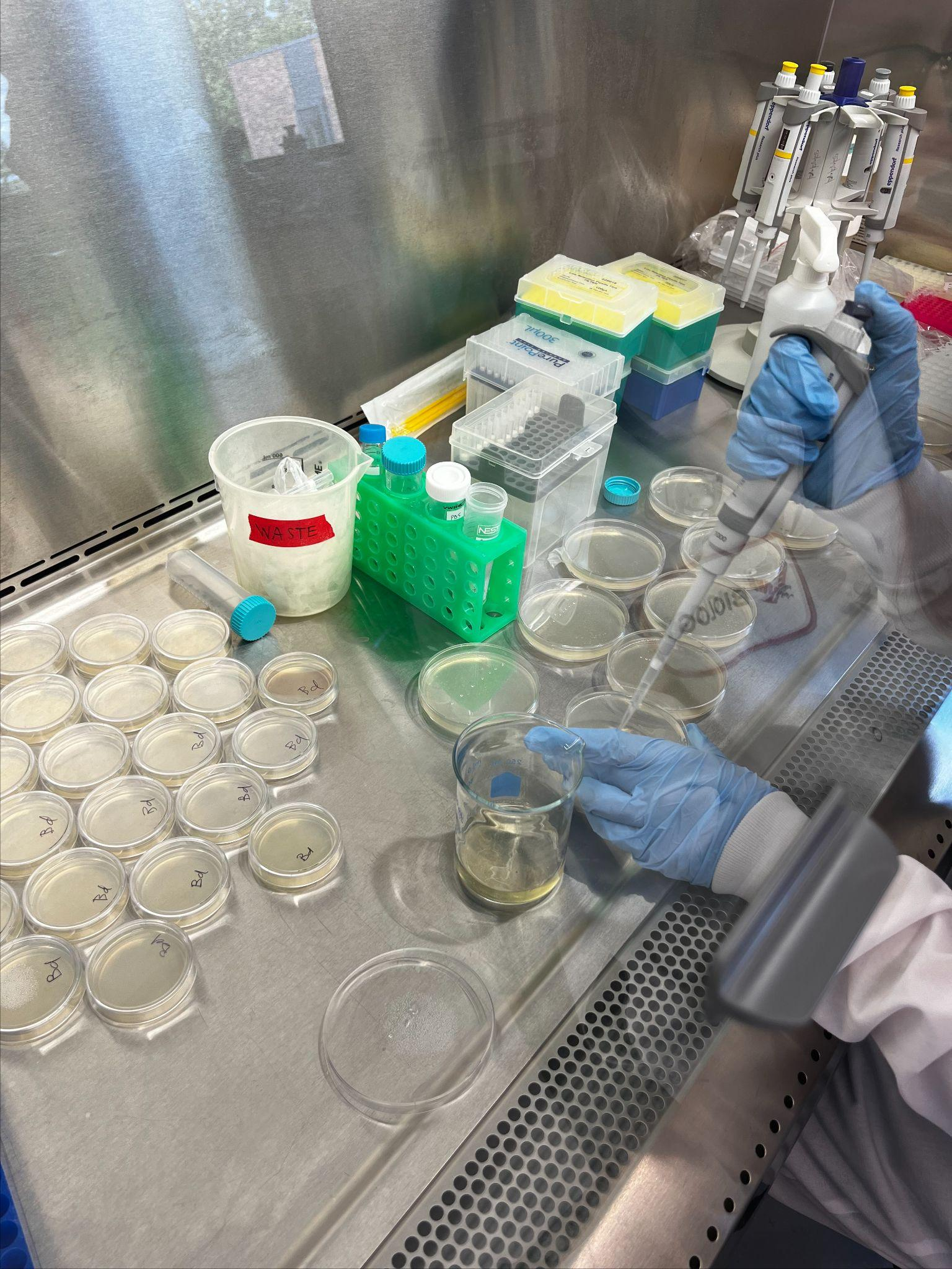 What My Disease Ecology Students Taught Me About Resilience