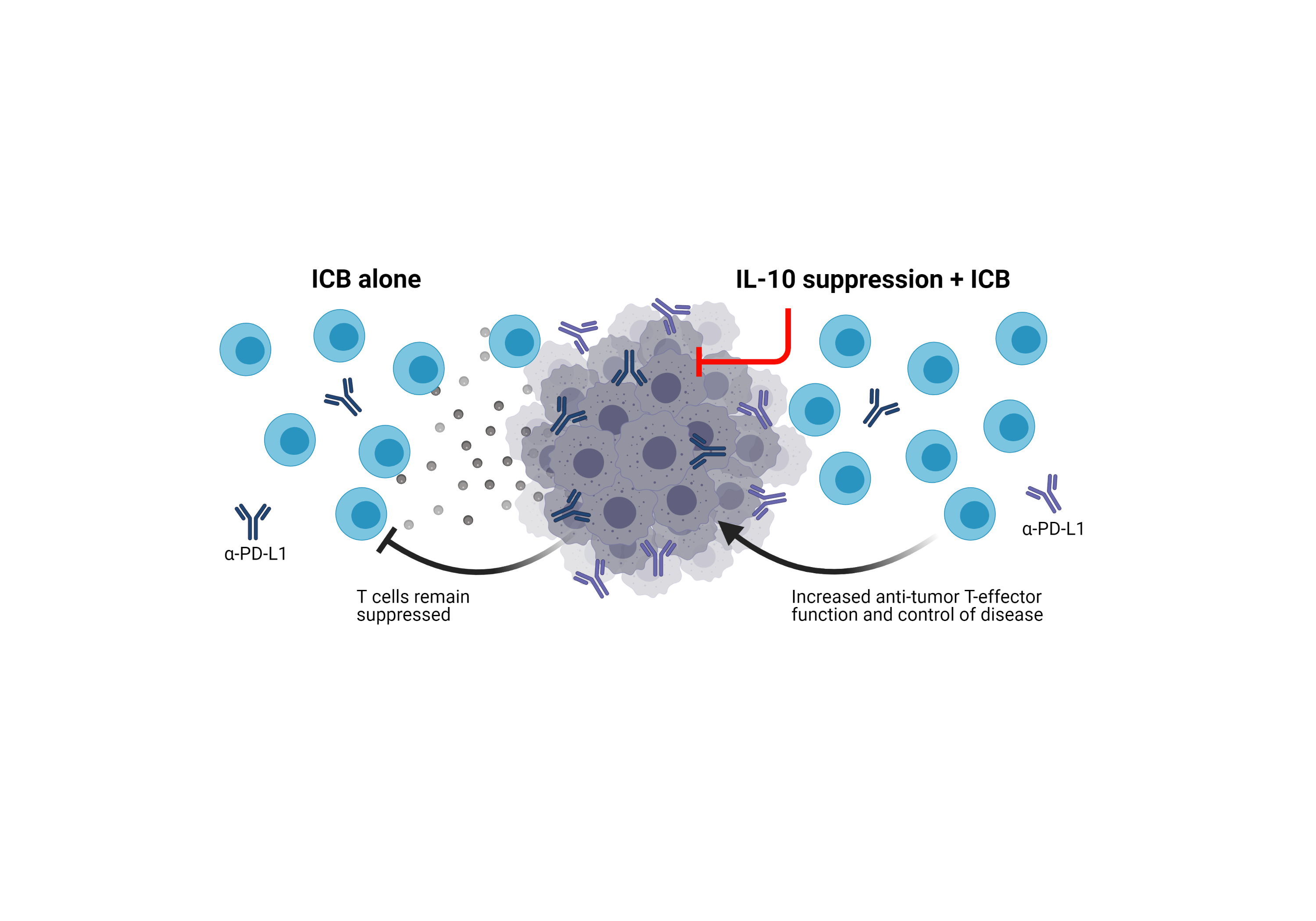 A new way to improve immune checkpoint blockade therapy in CLL 