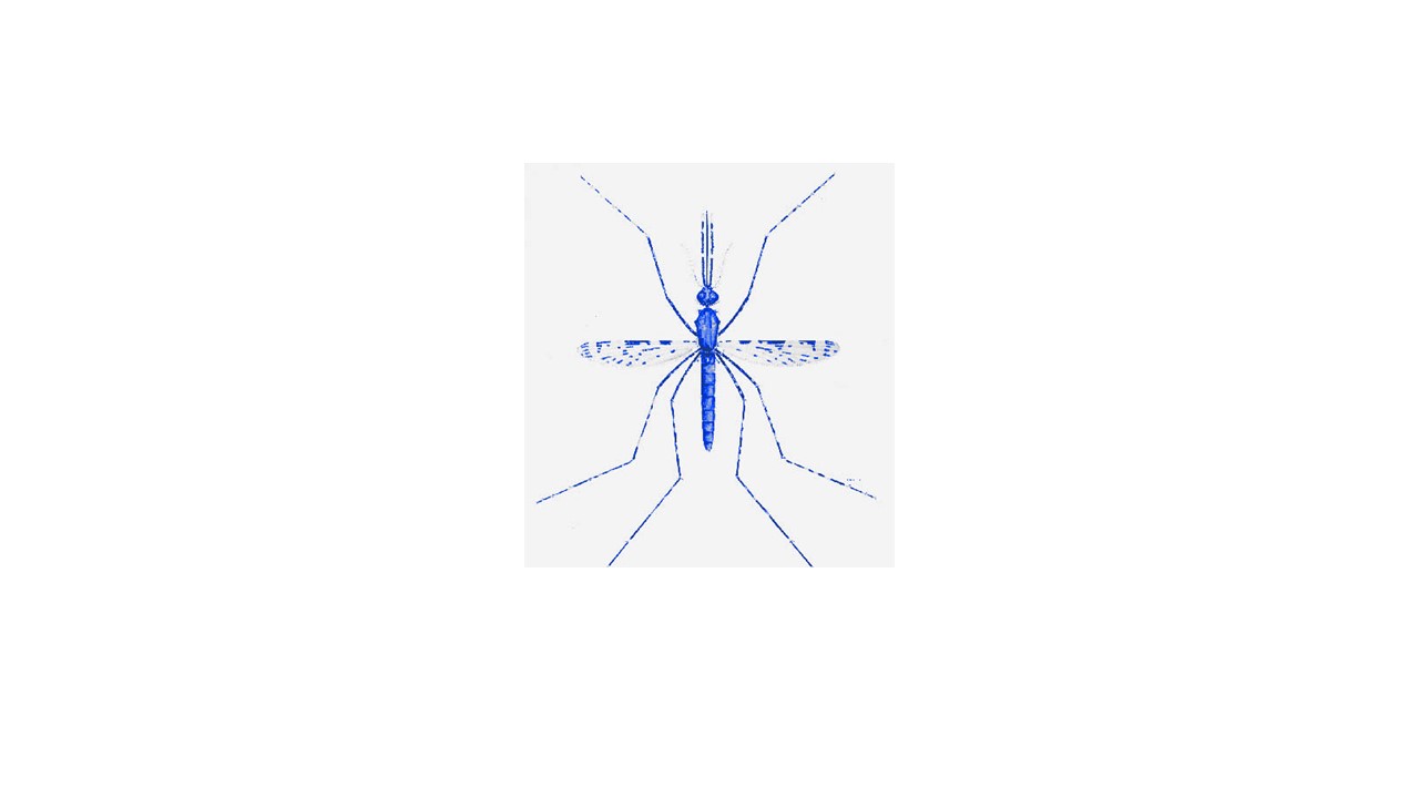 Analysis of mosquito disease vector genomes confirms high levels of sequence polymorphism, but screens reveal an abundance of target sites for Cas-9-based gene drive.