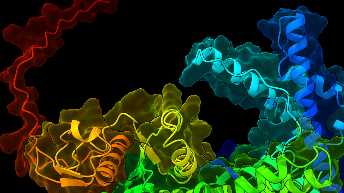 ProRefiner: A deep learning model for effective and efficient protein sequence design