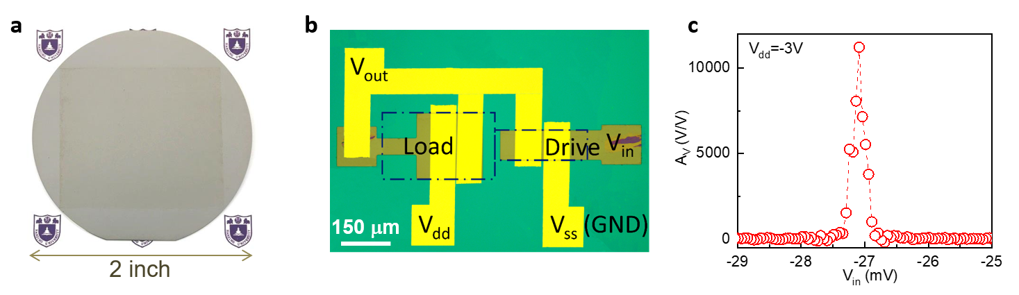Monolayer organic film delivers ultra-high-gain transistors and circuits