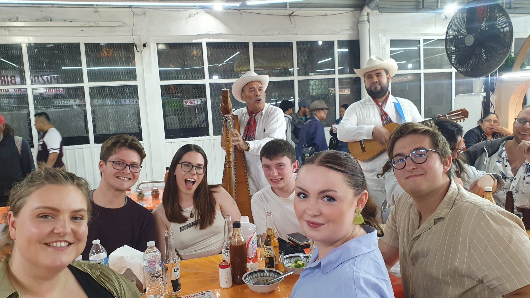 Blog Post - Weeks 3&4 of MakeSense LiA