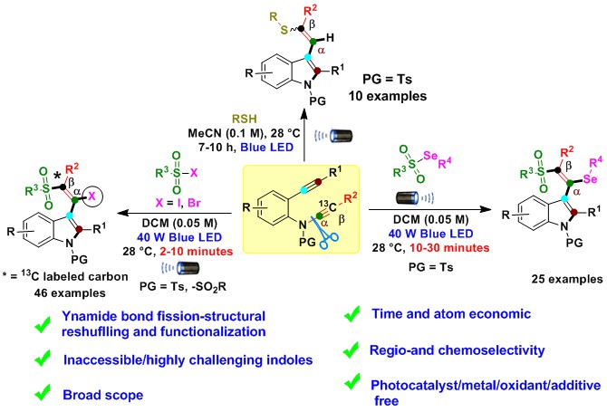 Photoinduced ynamide structural reshuffling and functionalization