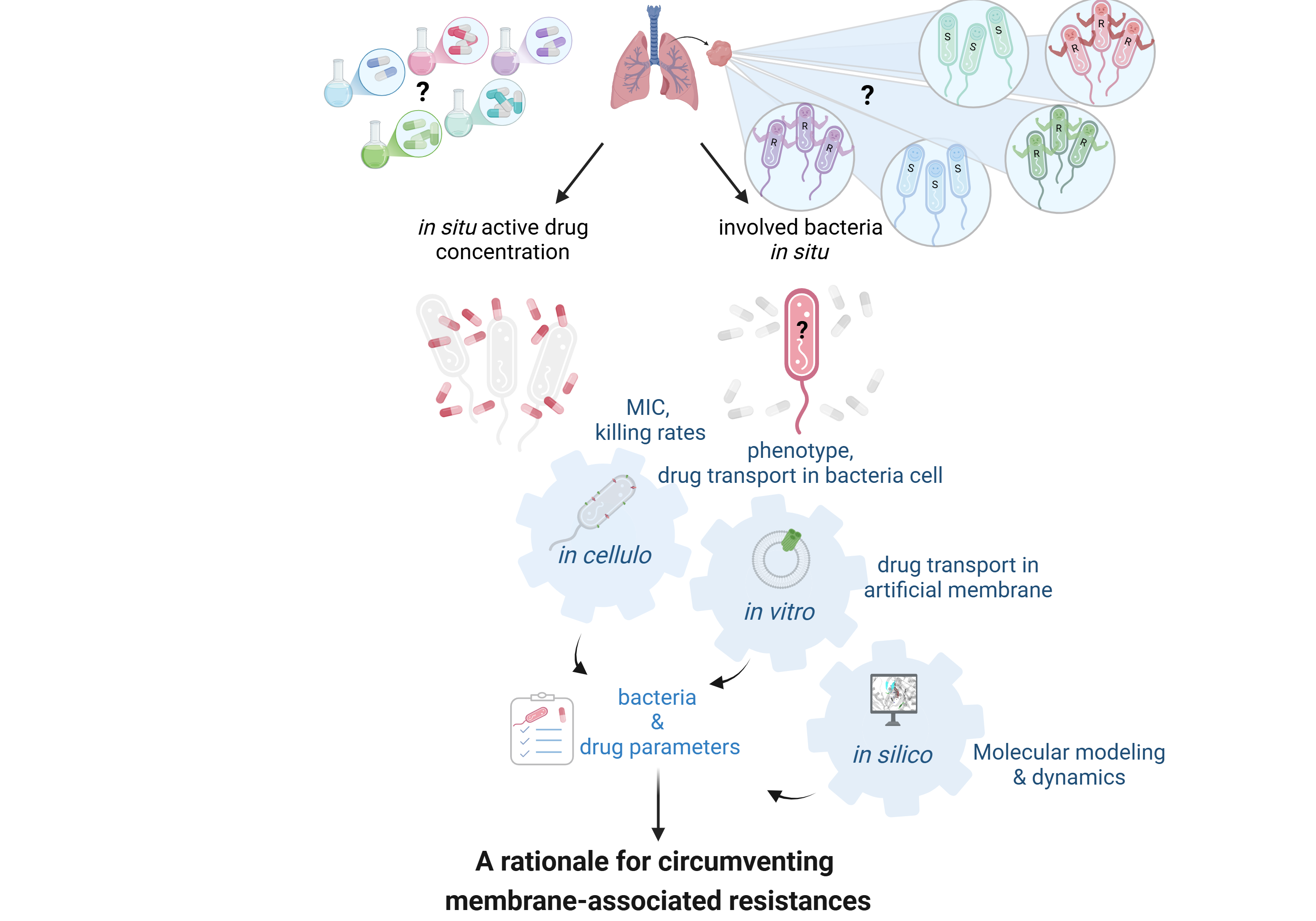 Integrative strategies to dissect and overcome membrane-associated resistance mechanisms: a spatial biology response to bacterial genius