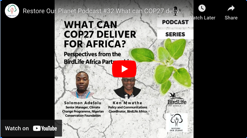 Restore Our Planet Podcast #32 What can COP27 deliver for Africa?