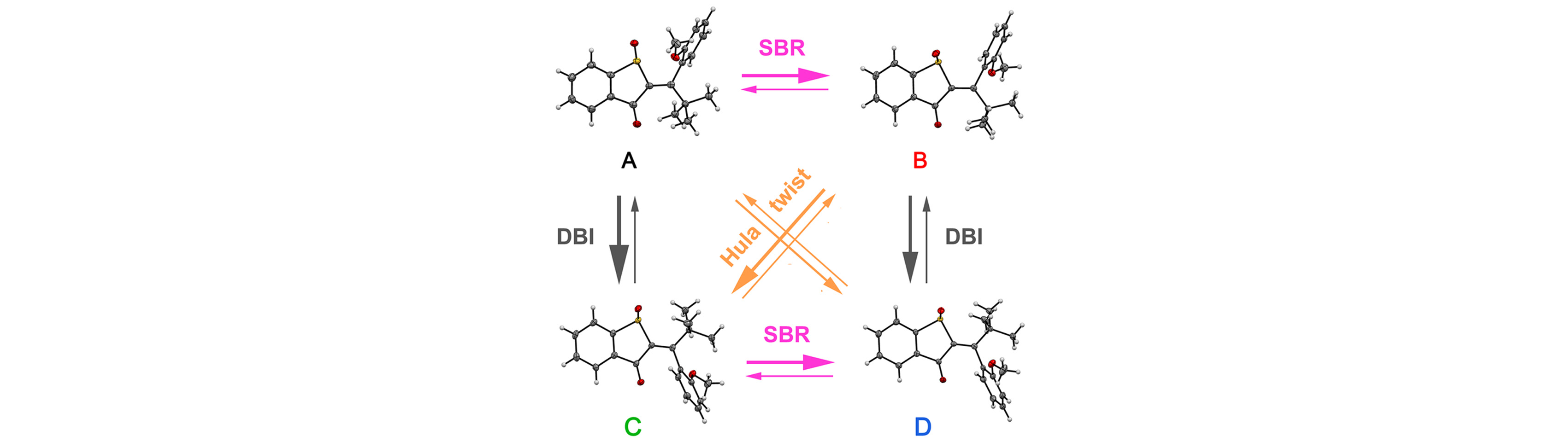 Hula Twist is a Real Photoreaction