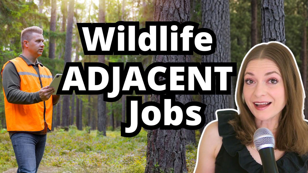 What are Wildlife Research-Adjacent Jobs and Should You Take One?