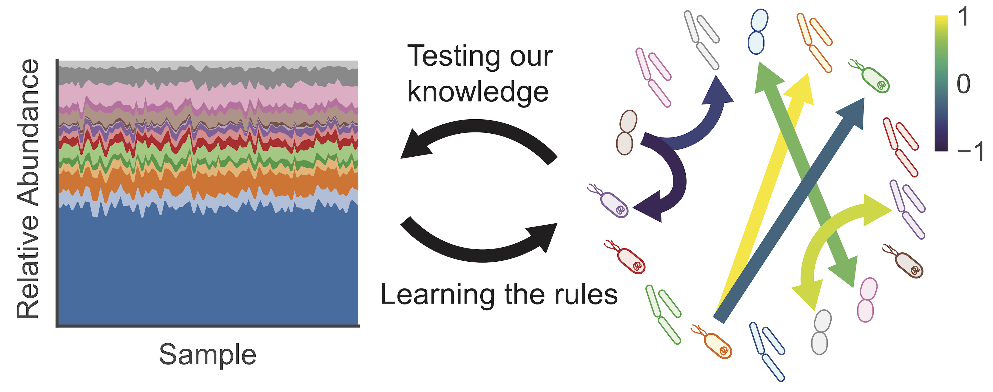 Inferring microbial interactions from relative abundance: not as easy as you would think