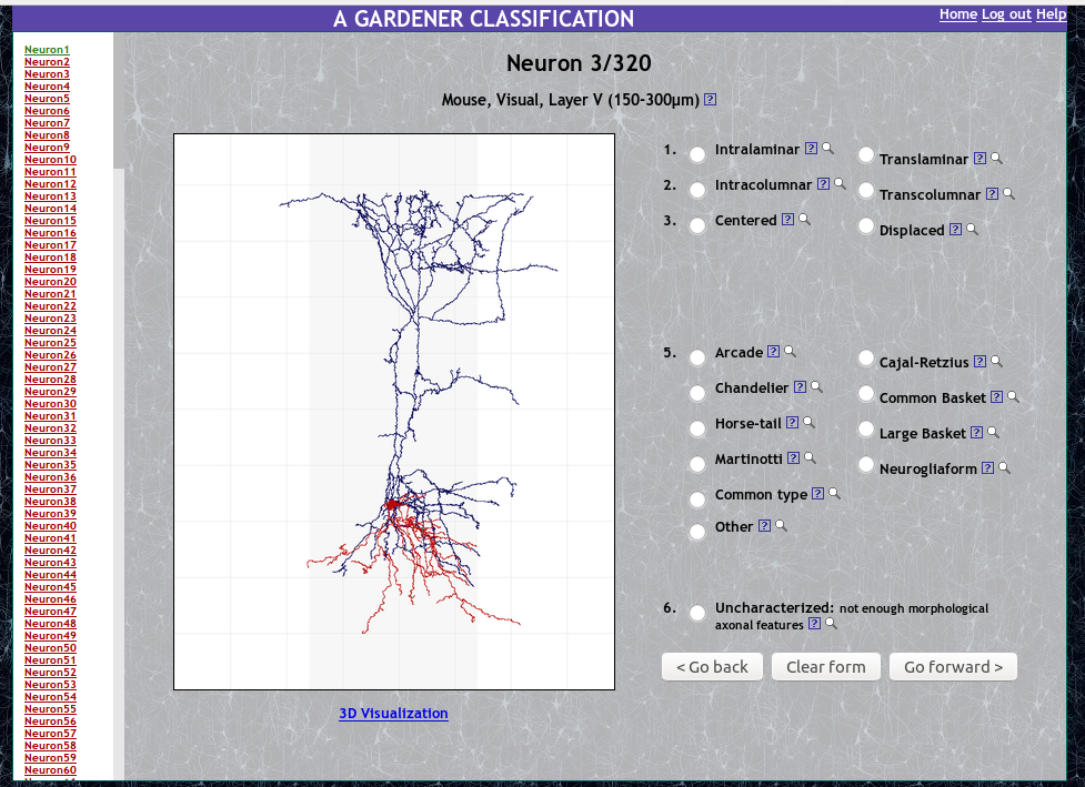 Classification of GABAergic interneurons by leading neuroscientists