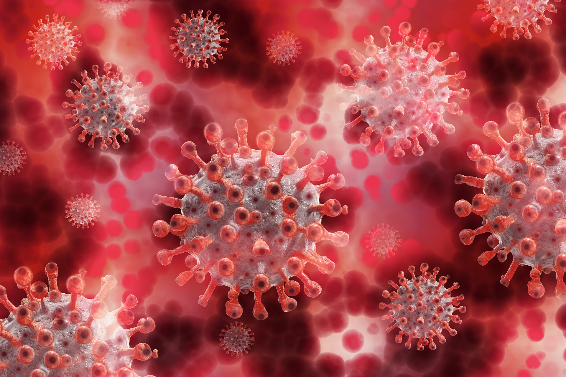How Vo’, a small village in the Paduan hills in Northern Italy, became the place that taught us about SARS-CoV-2 transmission, control and immunity