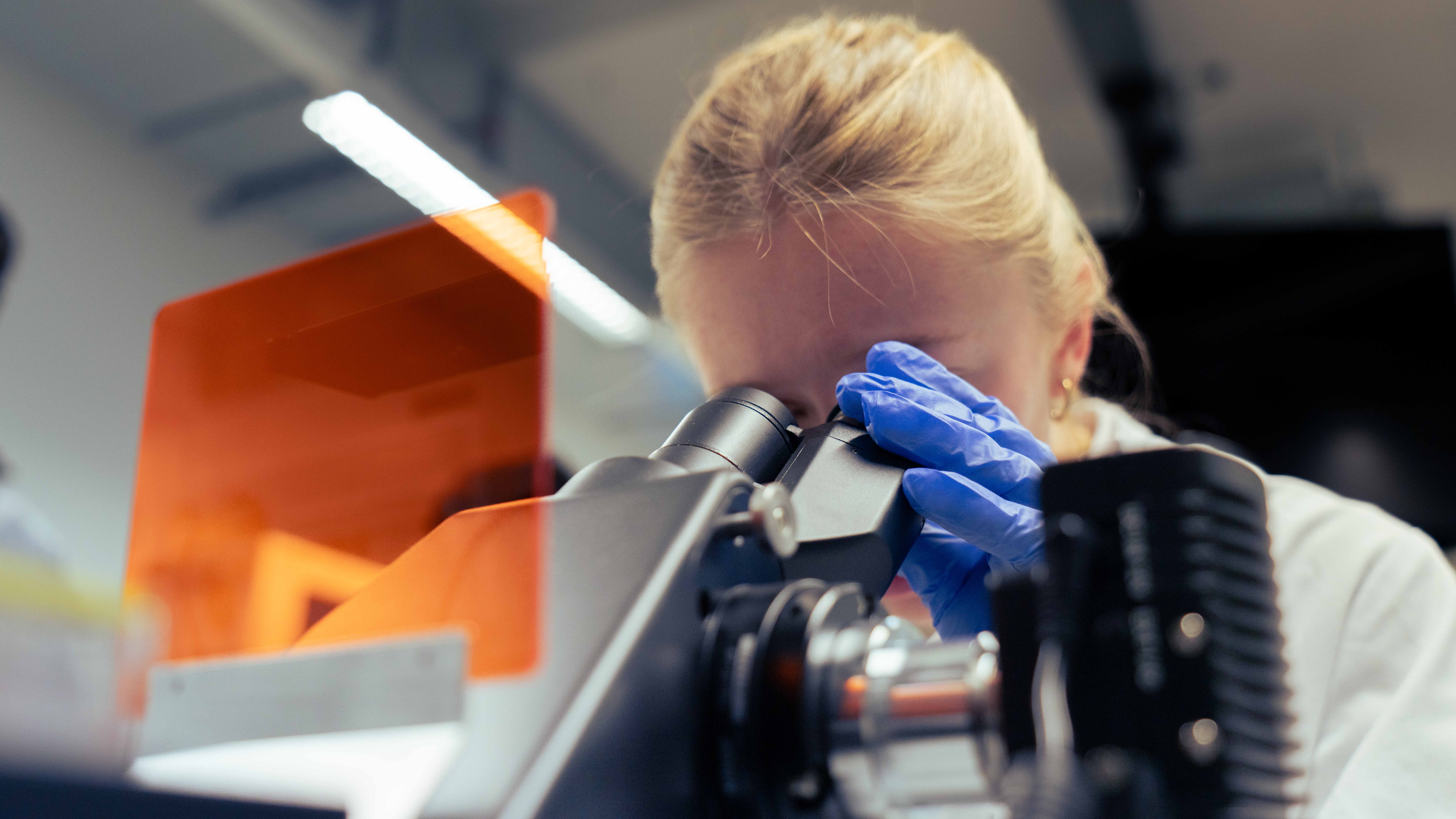 Summer Research Program 2026: Apply Now