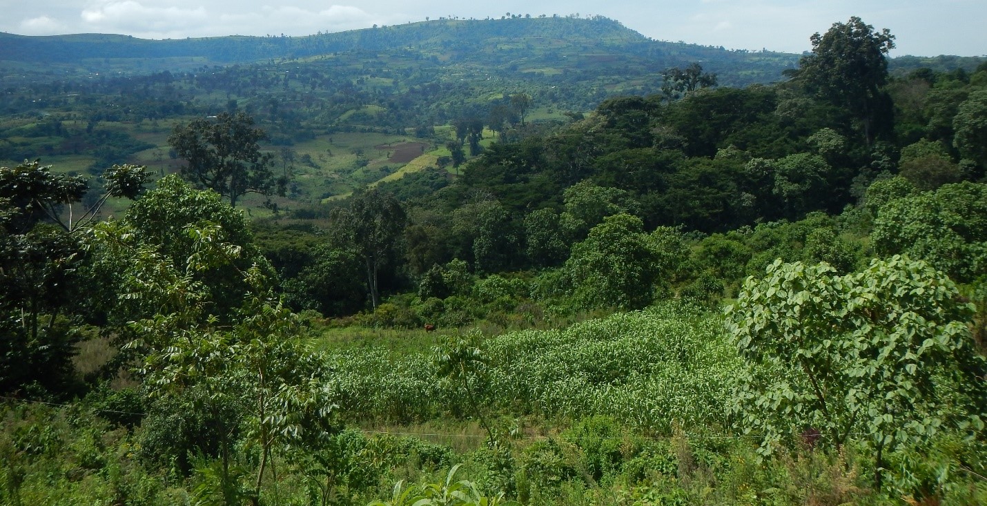 Could land sparing work to integrate agricultural production and biodiversity conservation in the global south? – New insights from Ethiopia
