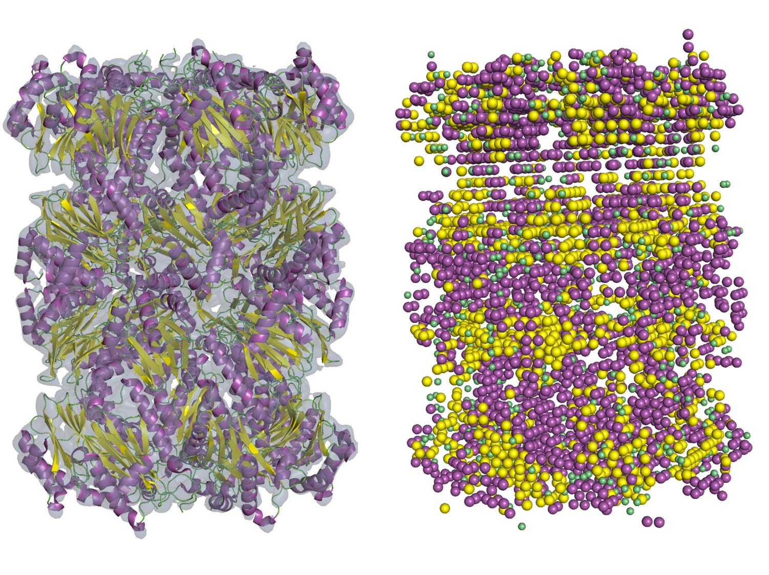 Emap2sec: Deep learning-based tool for detecting protein secondary structures in intermediate cryo-EM maps