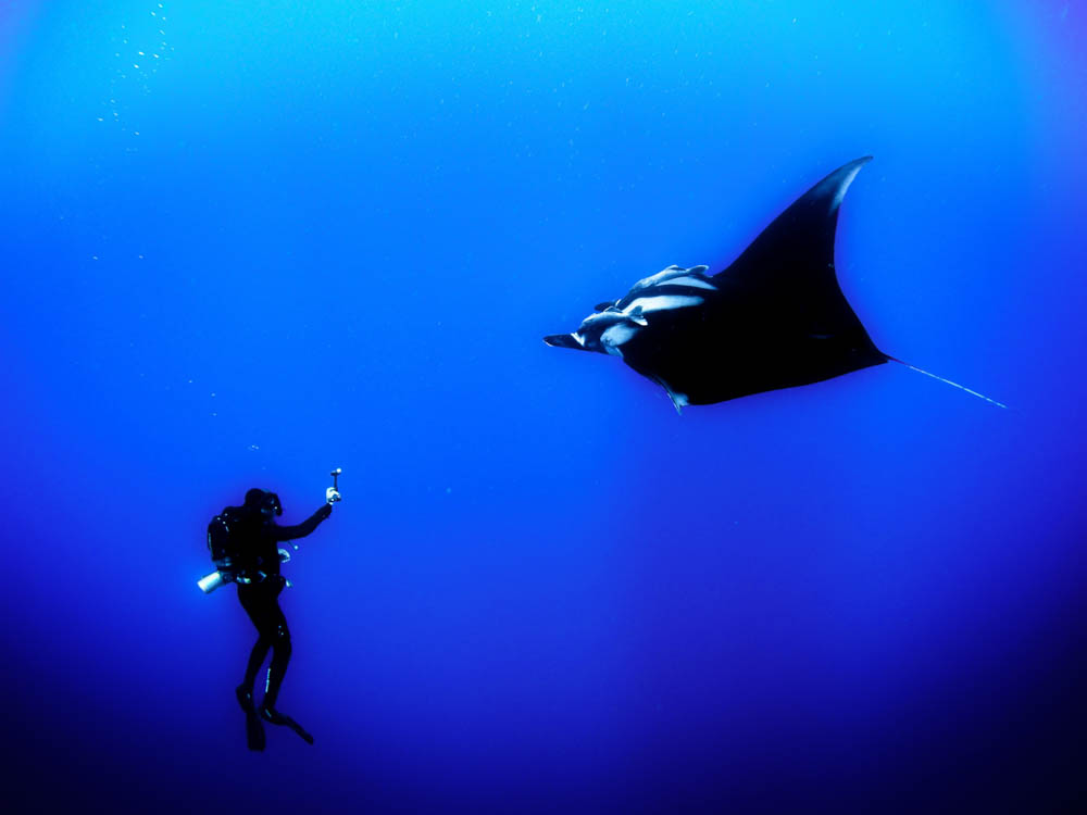 Event: Dive into the world of WildHub's conservationists