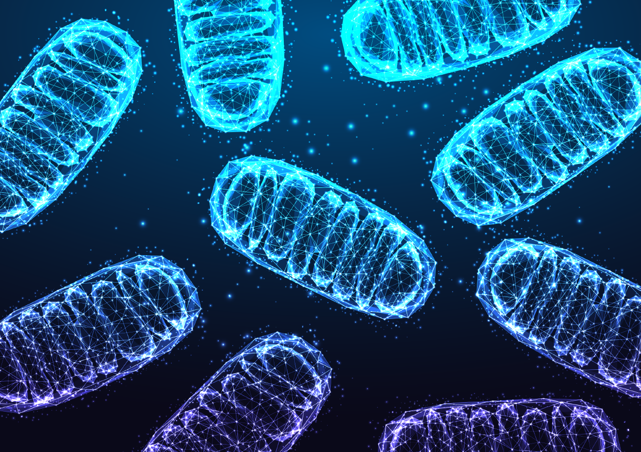 Upcoming FEBS Open Bio Webinar: Mitochondrial Biogenesis: An in-depth look into the beating heart of the eukaryotic cell