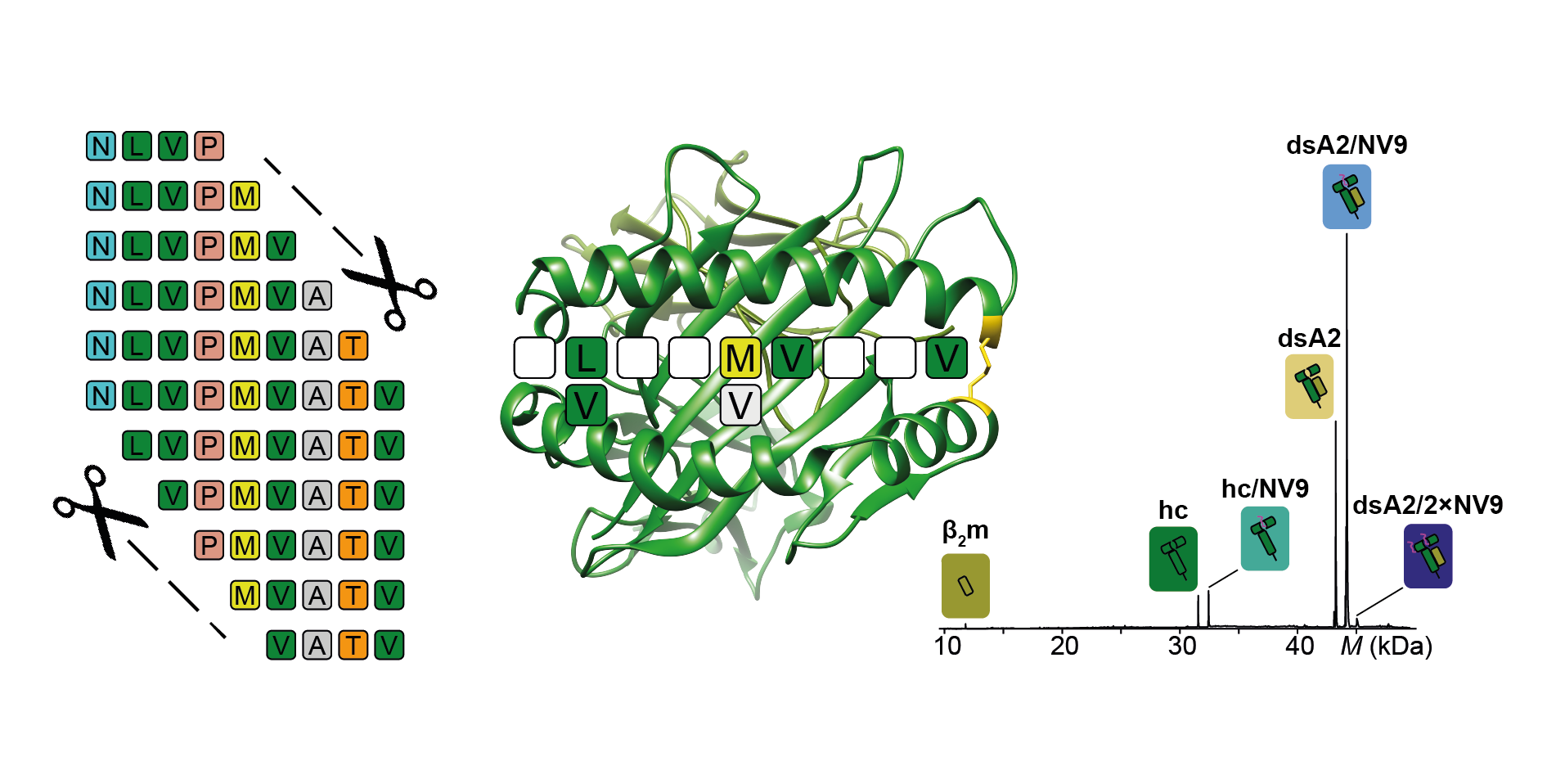 From mystery molecule to new method