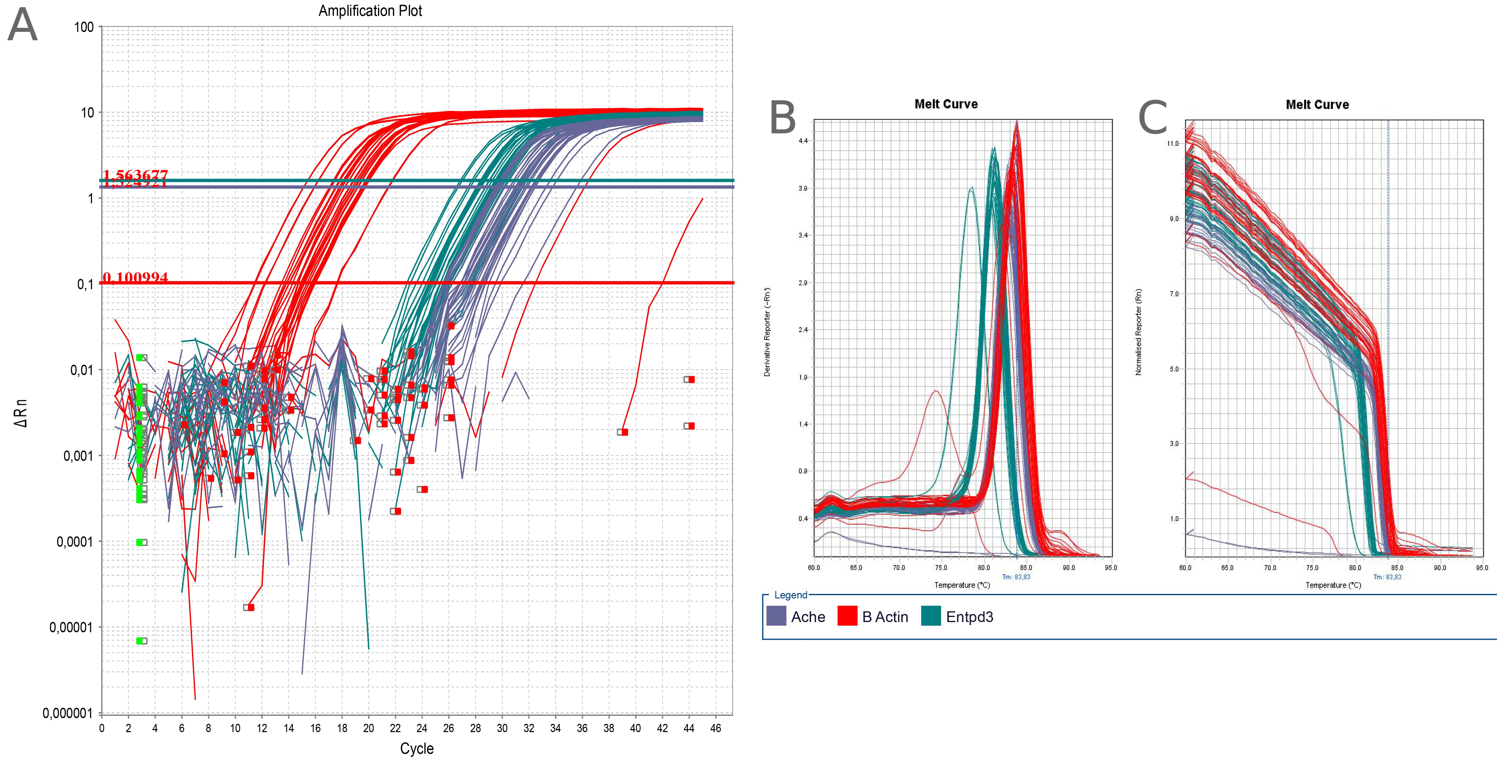 Coronavirus RT-qPCR testing tutorial 