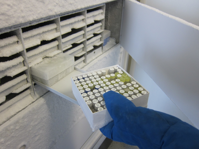 BBMRI-ERIC connects scientists to biobanks across Europe to accelerate research