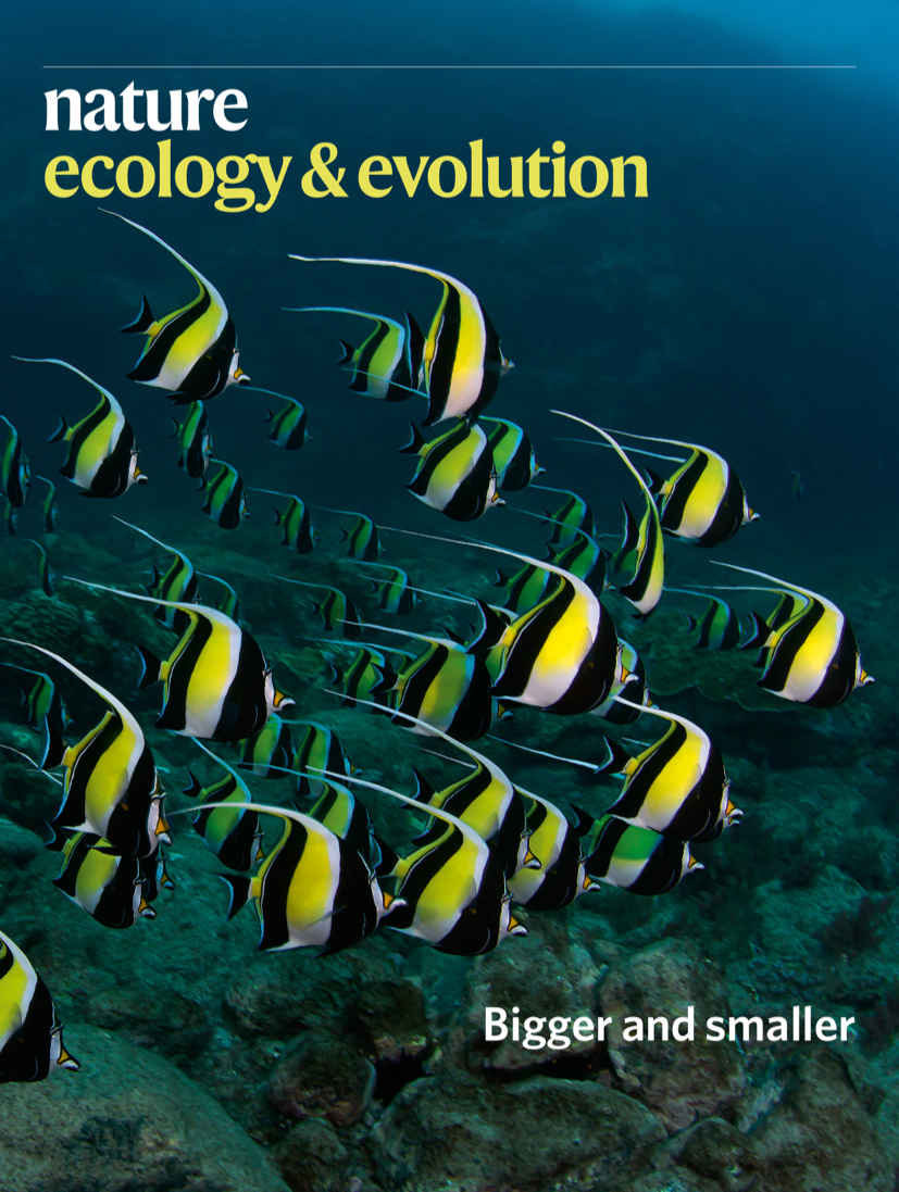Gallery | June 2020 cover