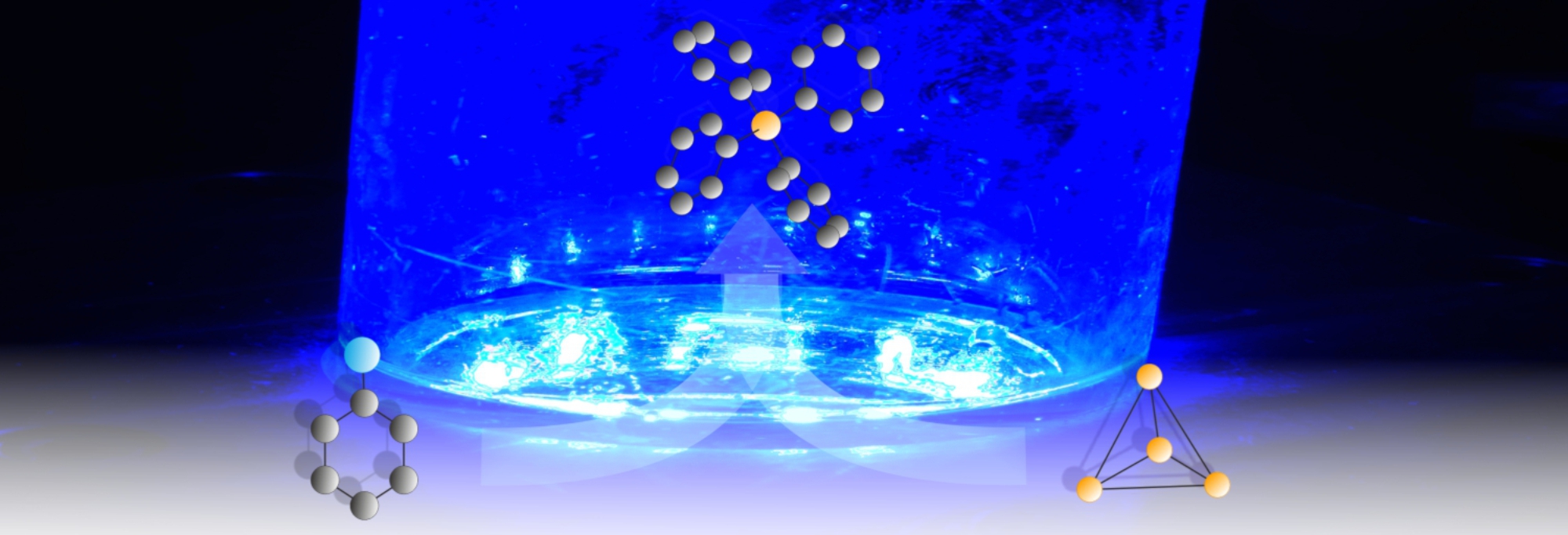 Photocatalytic Functionalization of White Phosphorus 