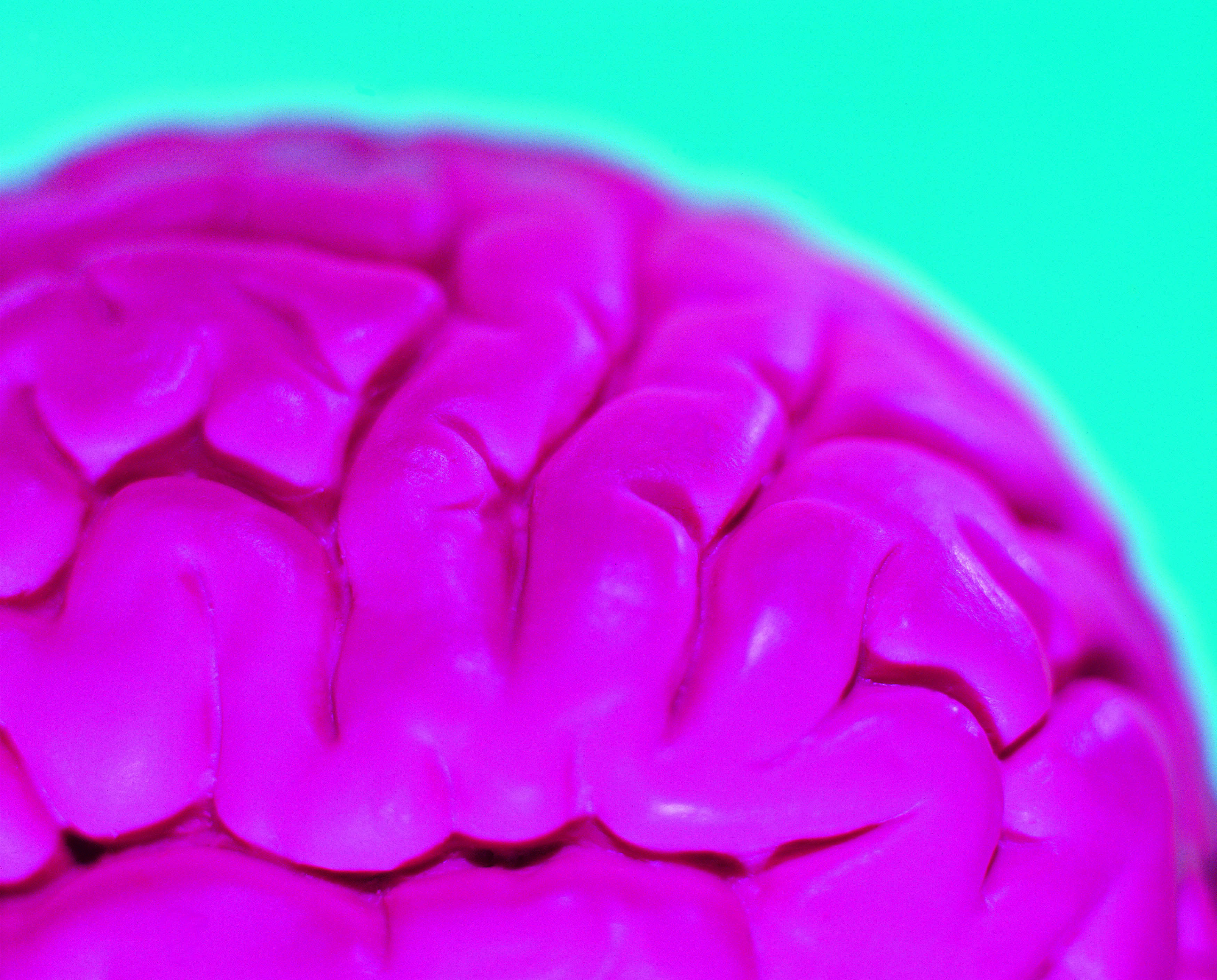 Convergence in neuropsychiatric research 