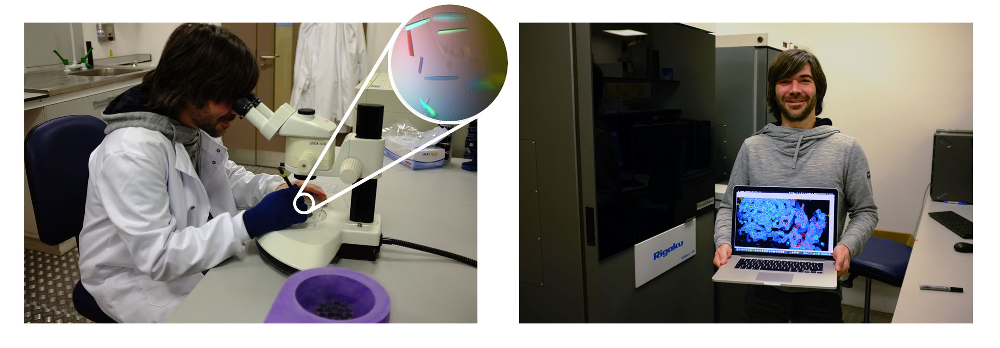 Seeing how trypanosomes resist human innate immunity