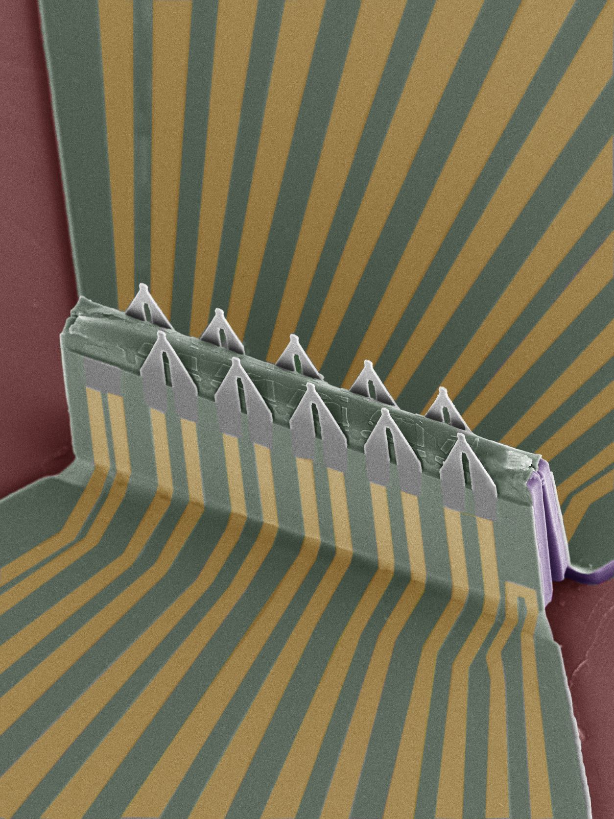Intra- and inter-cellular recording by a 3D transistor array