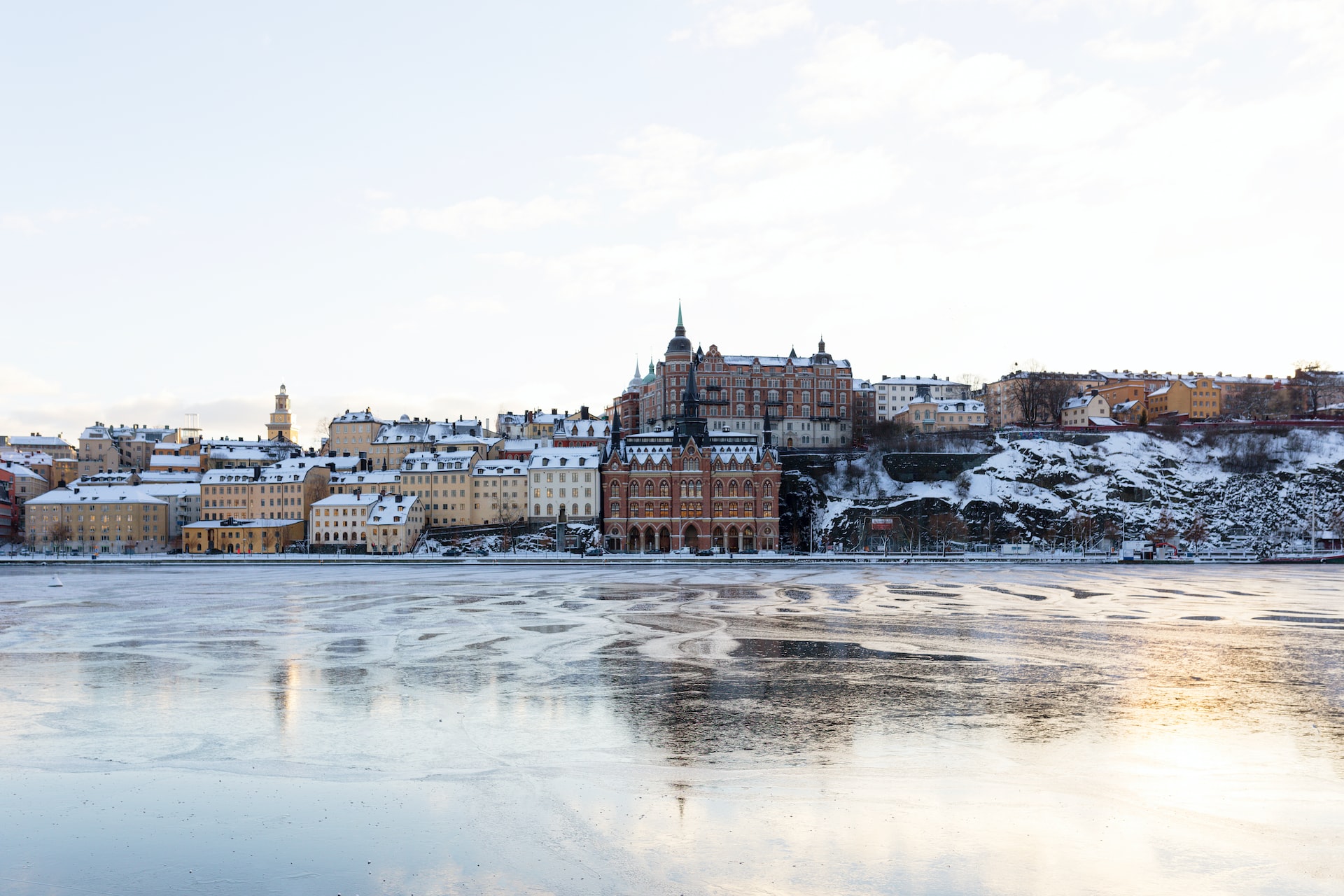The Young Academy of Sweden launches A Beginner’s Guide to Swedish Academia