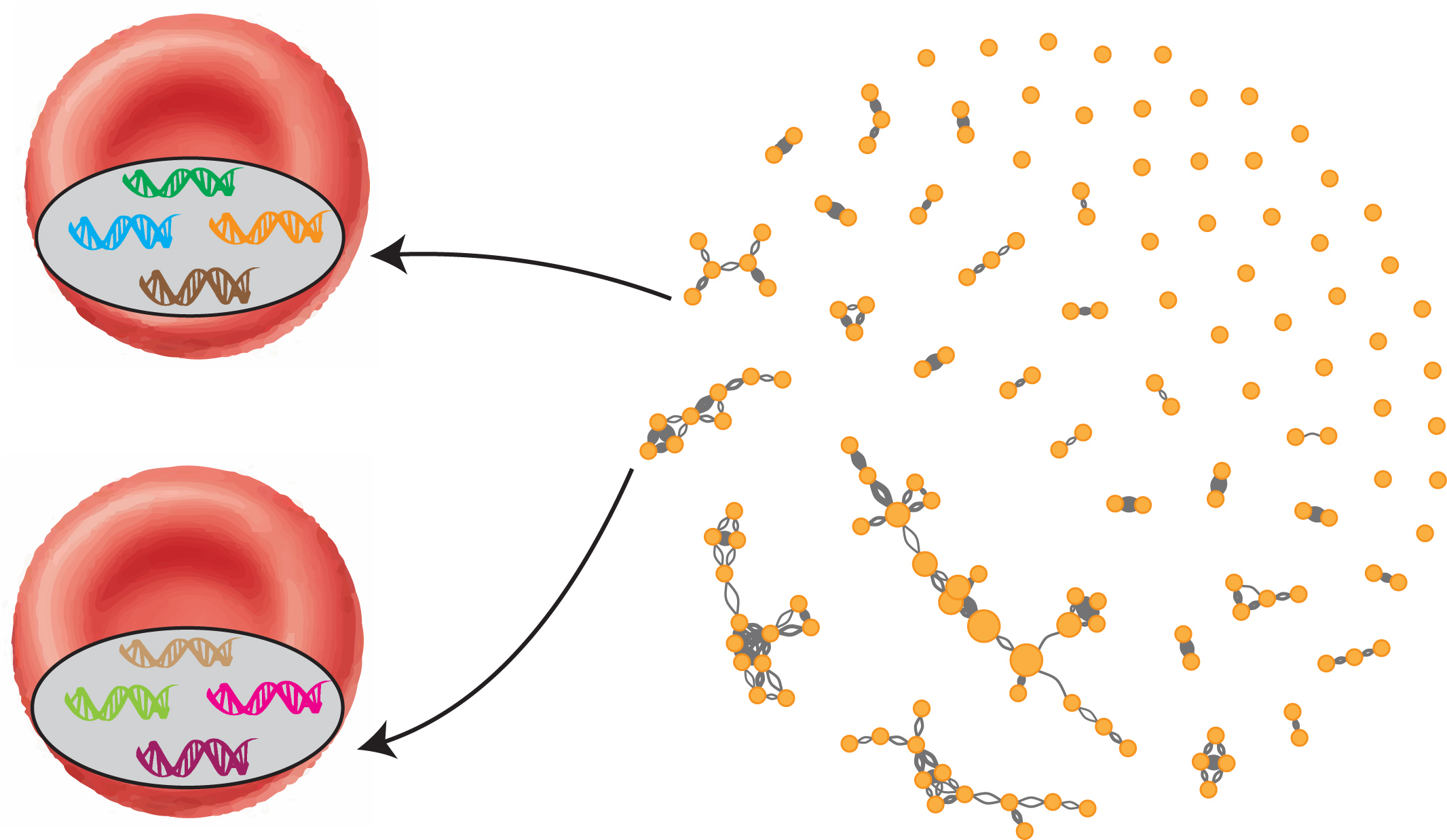 Why a diverse approach is needed to tackle a hyperdiverse malaria antigen system?